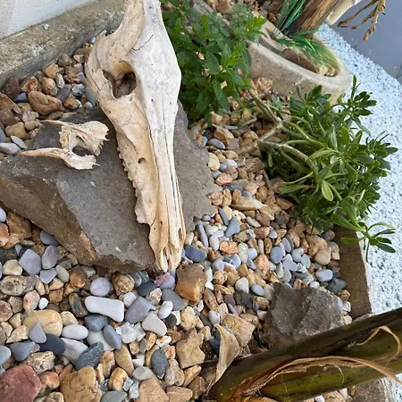 بيت للعطل Pause Mediterranee Maison Calme Proche Cap D'agde بيسان